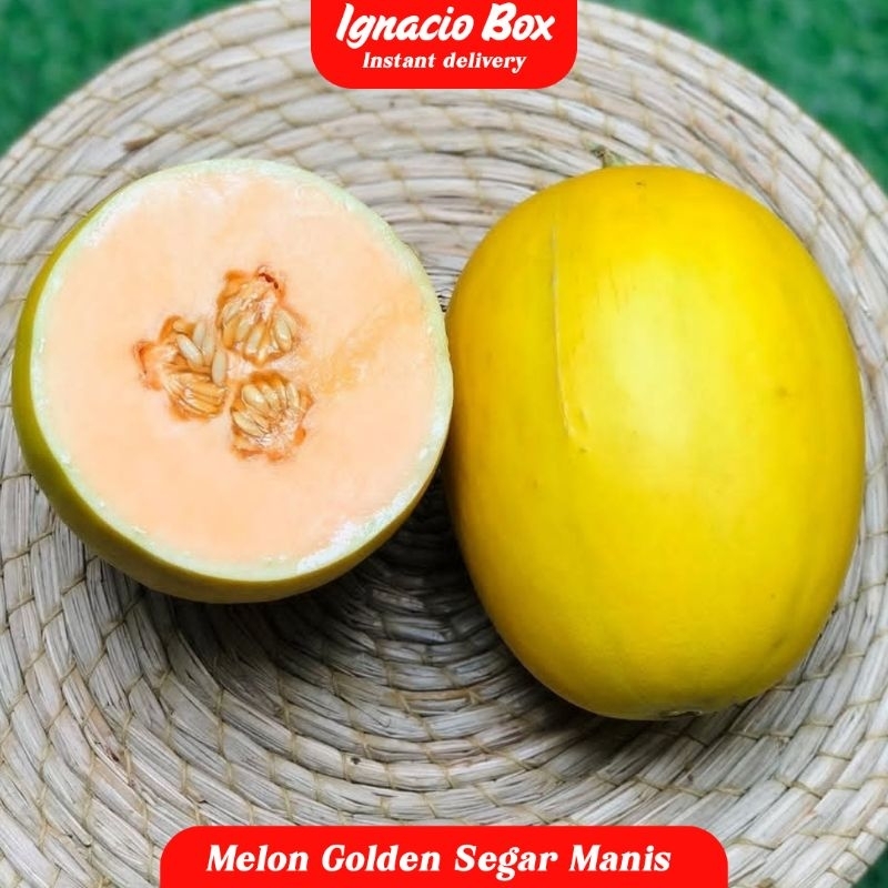 

Melon Golden Manis 1 Pcs 1.5-2kg | Ignacio Box Melon Golden Seger Manis