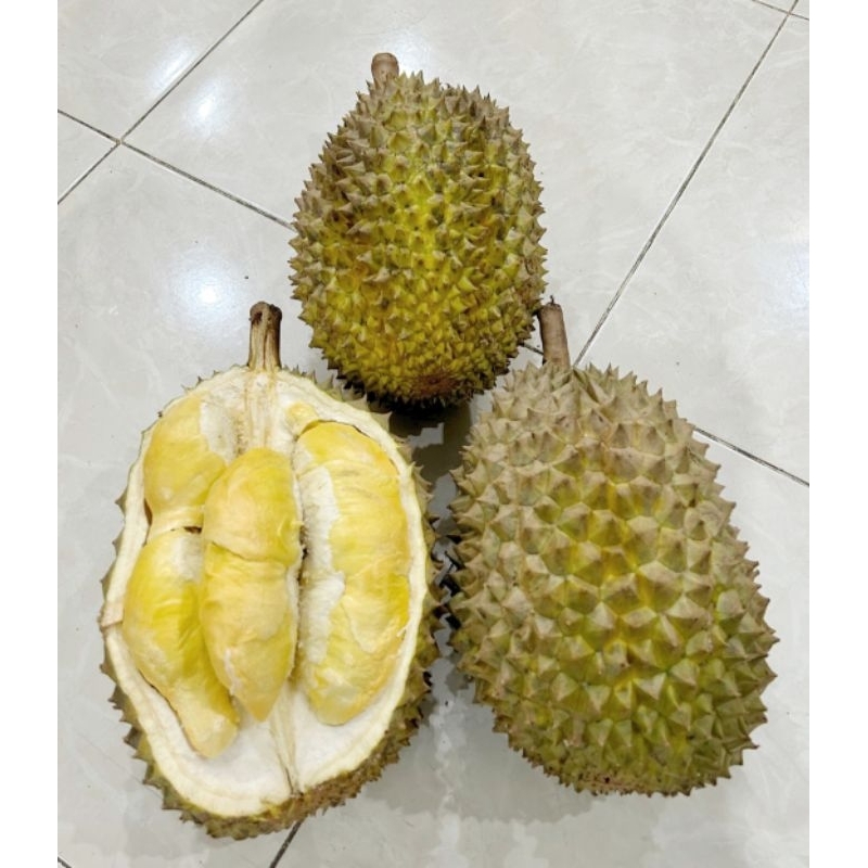 

Durian bawor banyumas