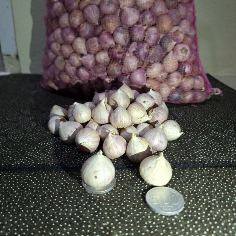 

BAWANG TUNGGAL GARLIC / MADU