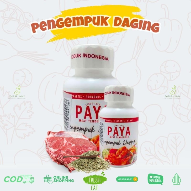 

PAYA Pengempuk Daging 70g