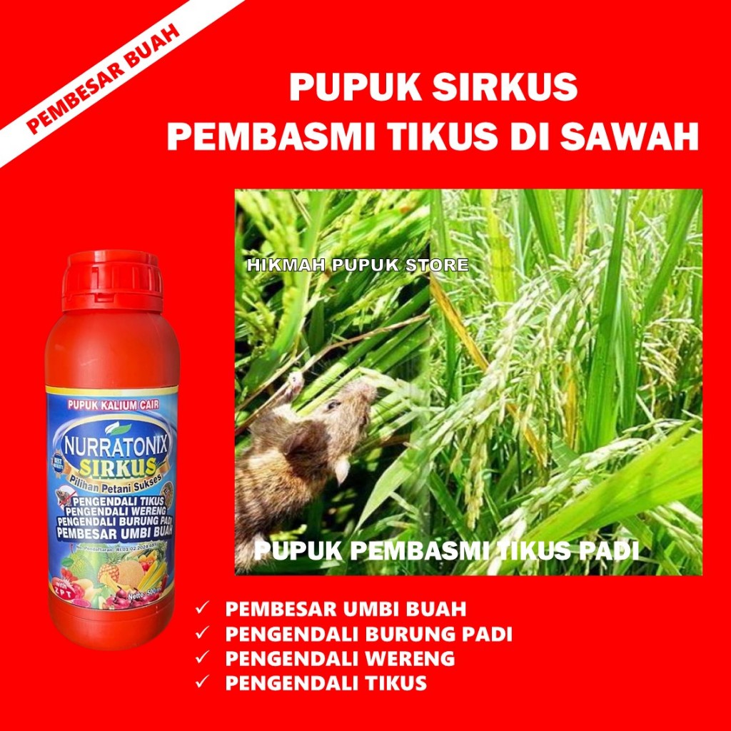 PROMO PUPUK NURRATONIX SIRKUS PEMBASMI HAMA TIKUS PADI DI SAWAH - OBAT SEMPROT TANAMAN PENGUSIR HAMA