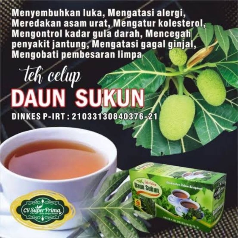 

Teh celup daun sukun herbal(untuk asam urat)