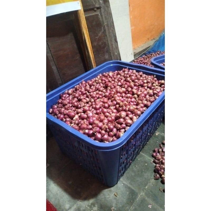 

bawang goreng asli Probolinggo