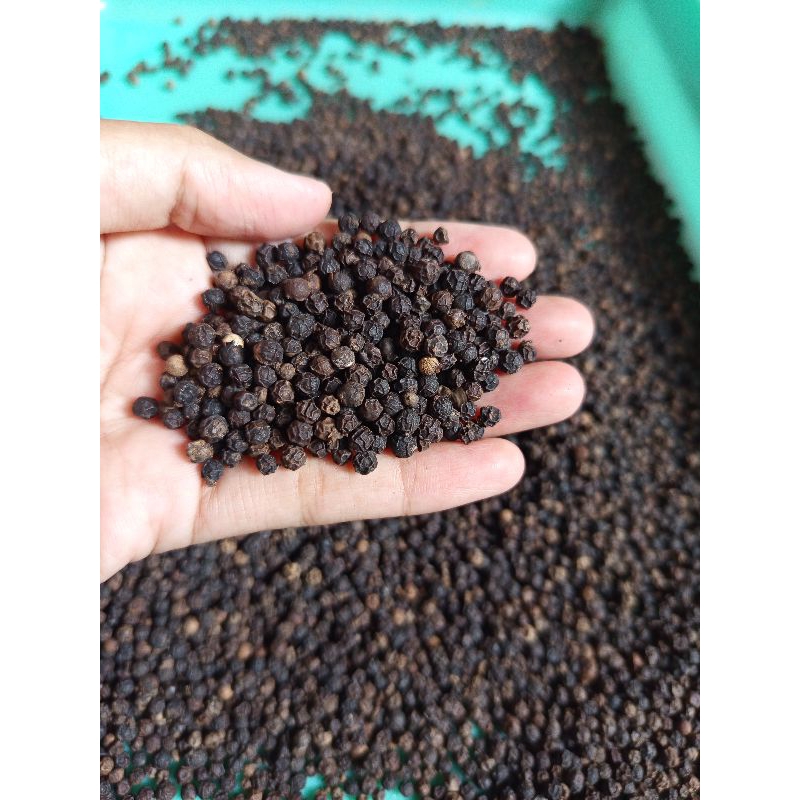 

Lada hitam/blackpepper 500grm