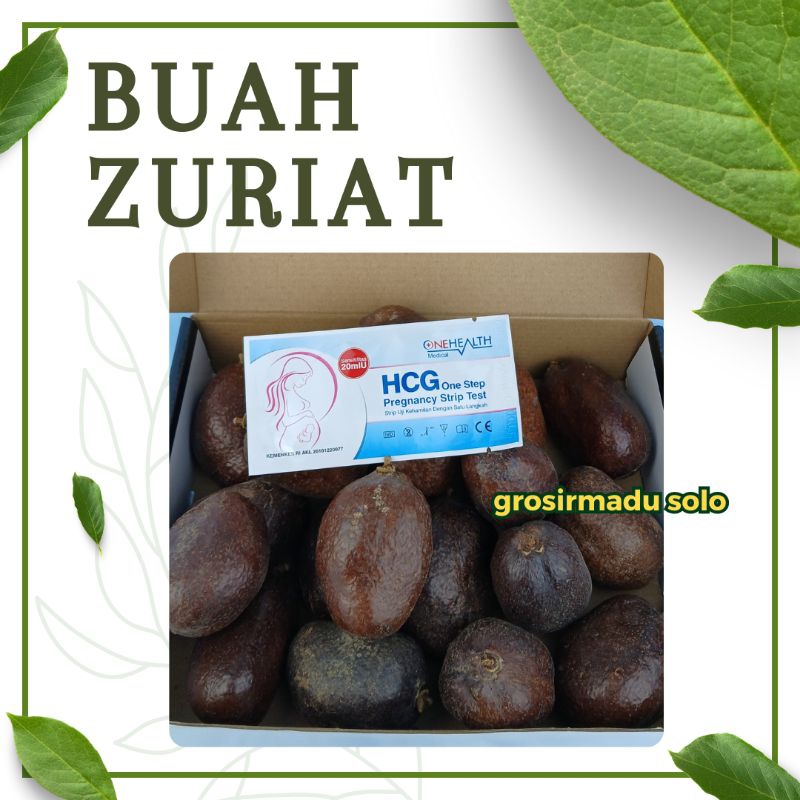 

BUAH ZURIAT MADINAH FREE TESPEK/BUAH PROMIL/JAMINAN ASLI/BERAT 250gr