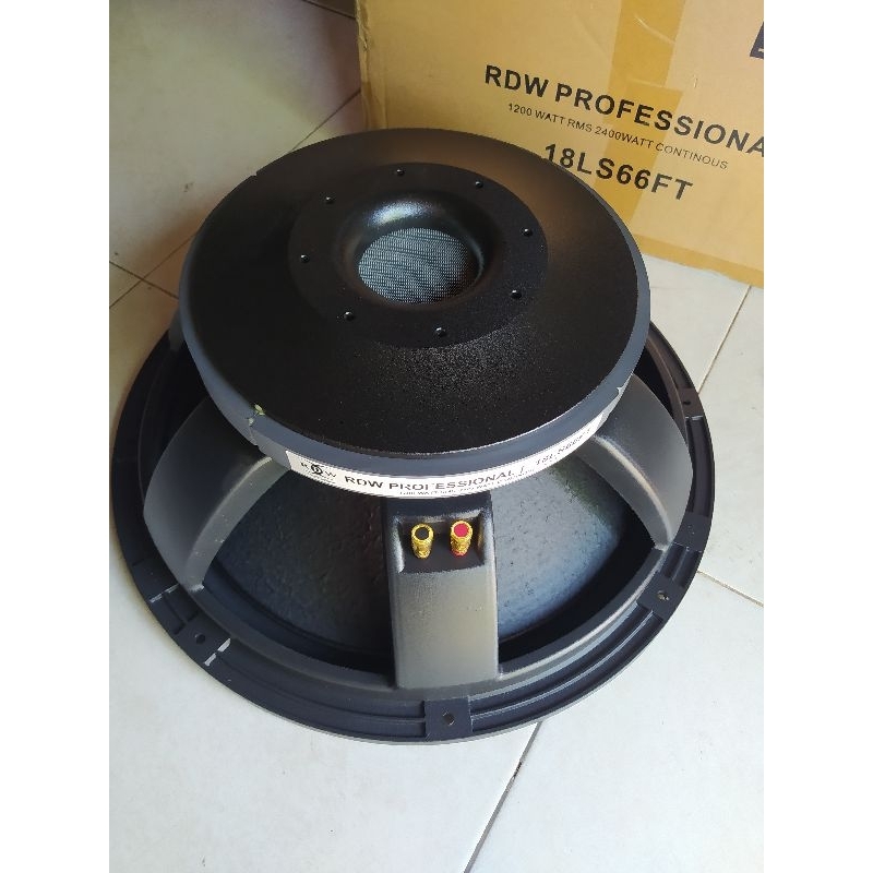 RDW Profesional Speaker 18LS66FT