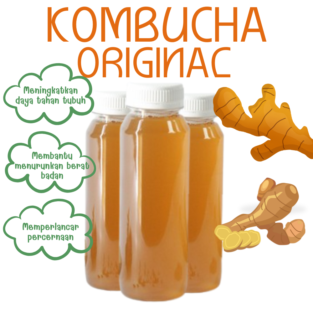 

3 pcs Kombucha Original 250 ML