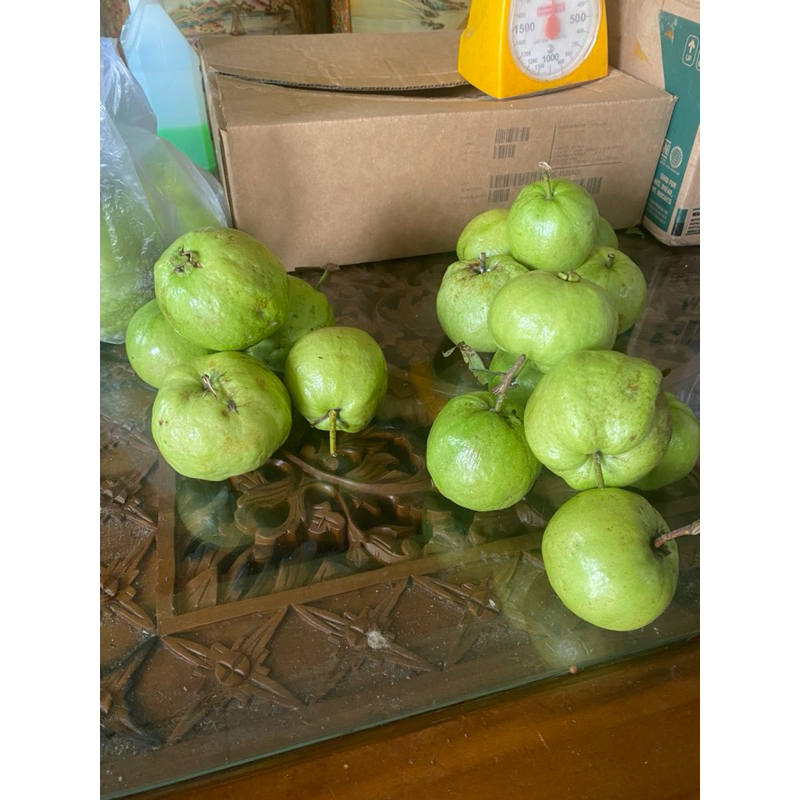 

Jambu Kristal