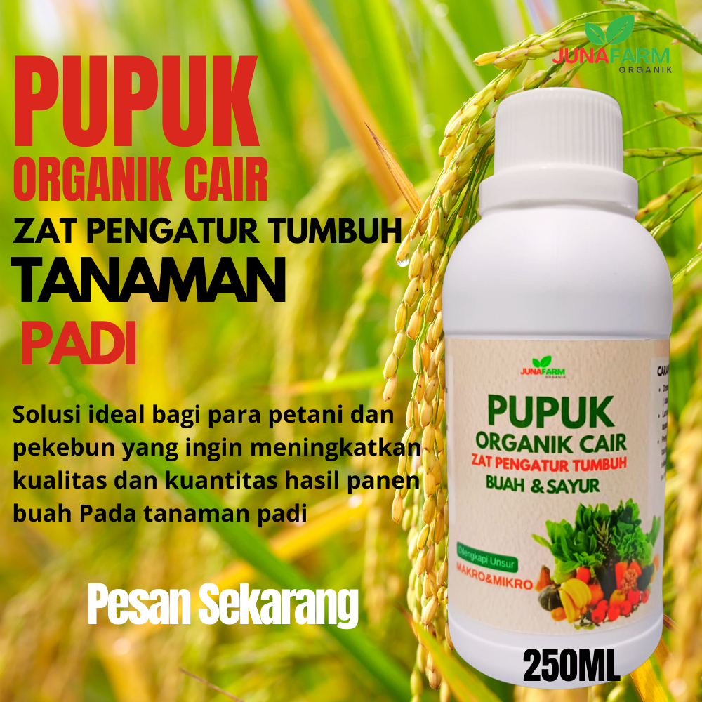 pupuk padi/pupuk untuk padi/pupuk tanaman padi/pupuk organik padi