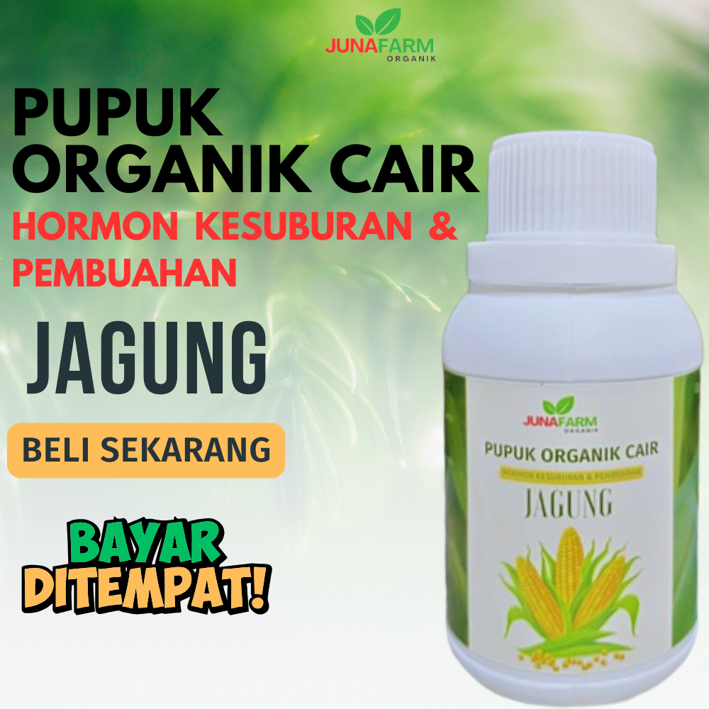 pupuk jagung/pupuk untuk jagung/pupuk tanaman jagung/pupuk organik jagung
