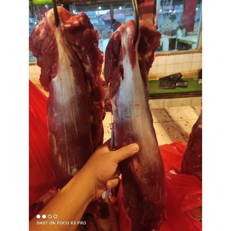 

DAGING SAPI HAS DALAM 1/2 KG (sapi lokal)