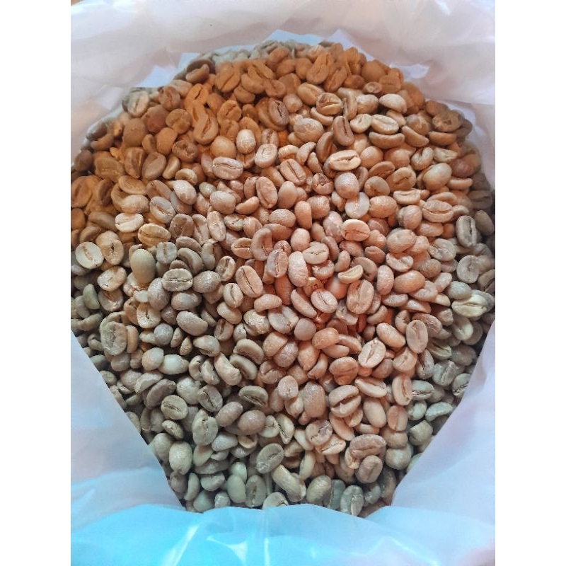 

GREEN BEAN ARABIKA SEMERU G1