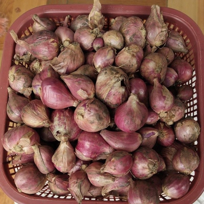 

Bawang merah kulit fresh