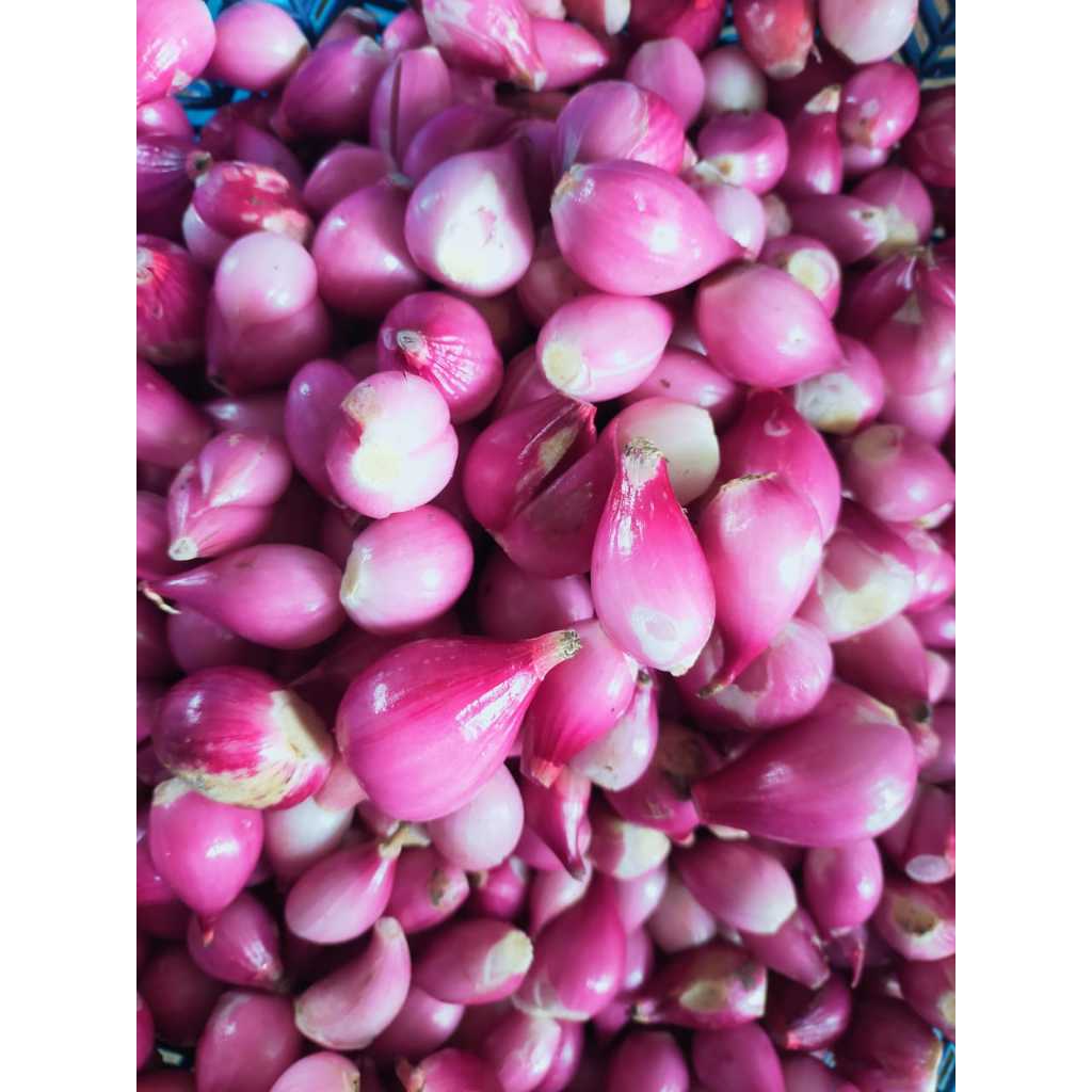 

Bawang MERAH KUPAS