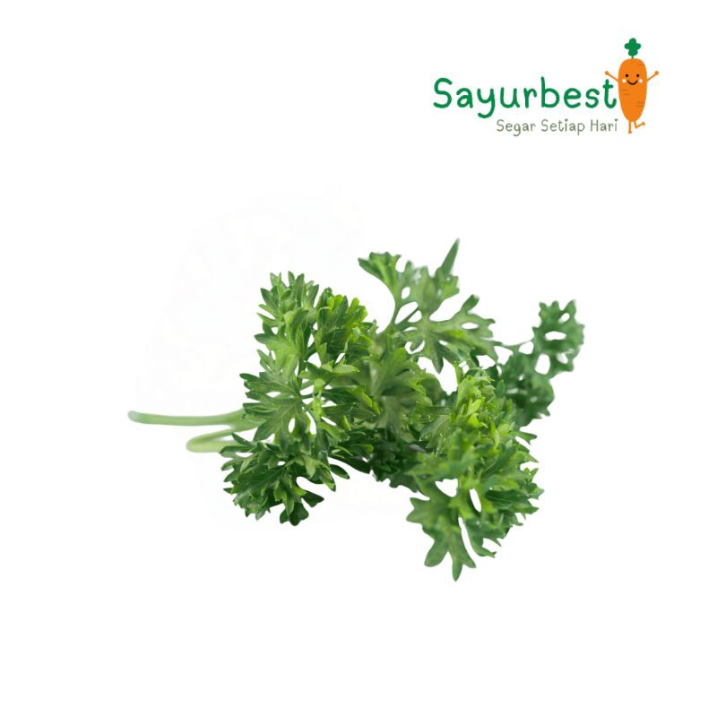 

Daun Peterseli Parsley 100gr