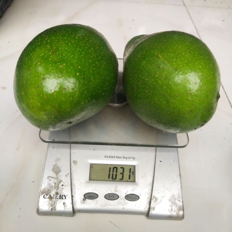 

Alpukat mentega Muria 1 kg isi 2-3
