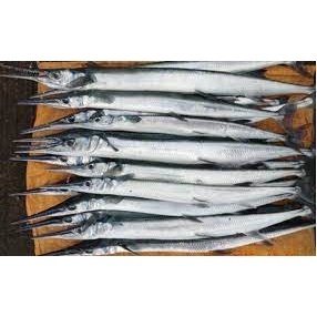 

Ikan Cendro Segar Ikan Cendro 1Kg