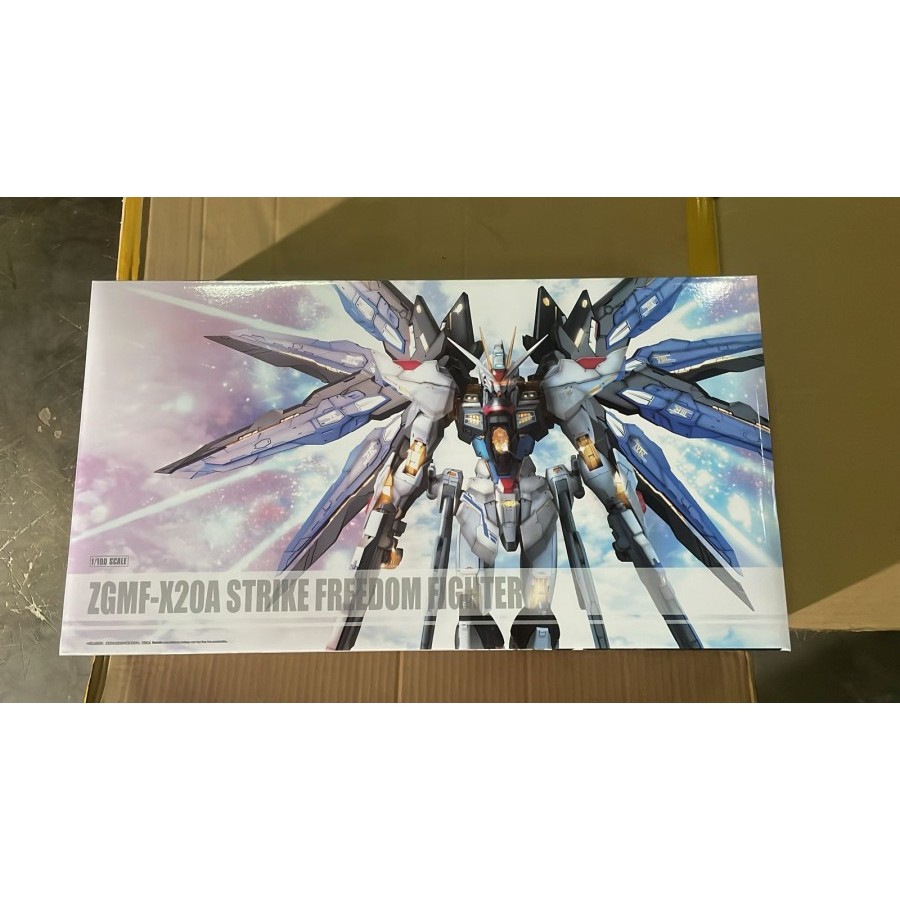 Daban Model 8802 MG 1/100 Strike Freedom(Head Repair Versi) Model Kit