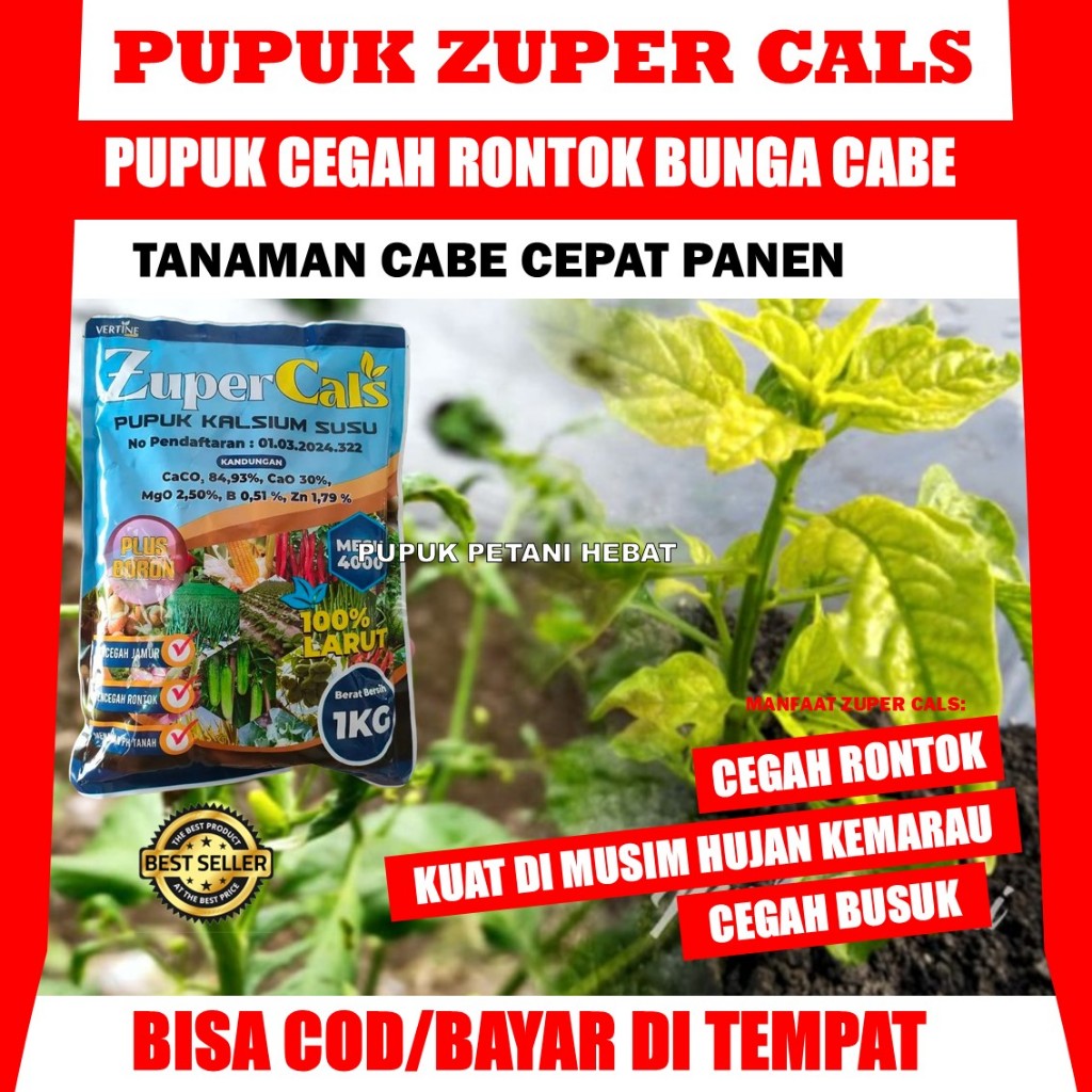 

Kirim Hari Ini ZUPERCALS 1 KG Atasi Jamur Cabe Sampe Tuntas - Obar Organik Kalsium Pada Tamanan Cabe Rawit Cegah Rontok dan Patek Pada Cabai