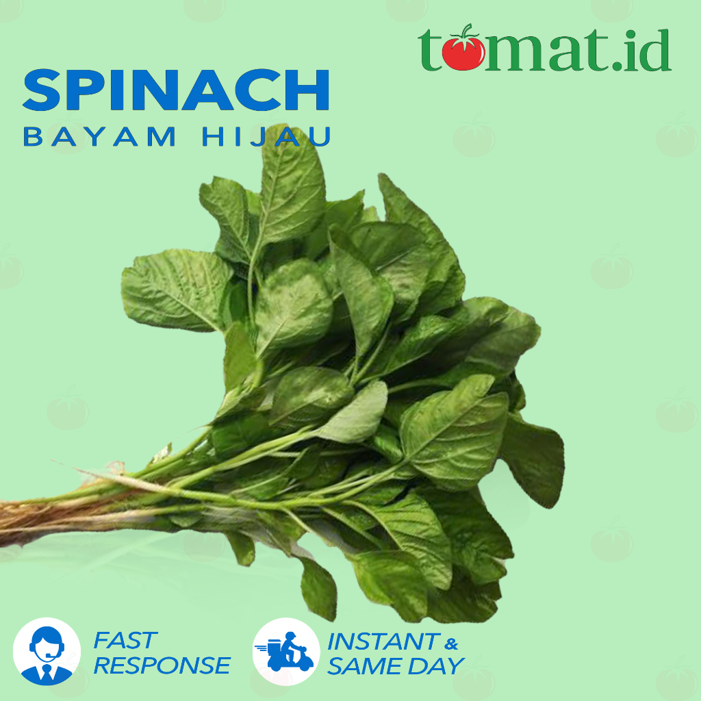 

Bayam Hijau / Spinach
