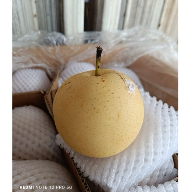 

Pir Pear Century Fresh 1kg