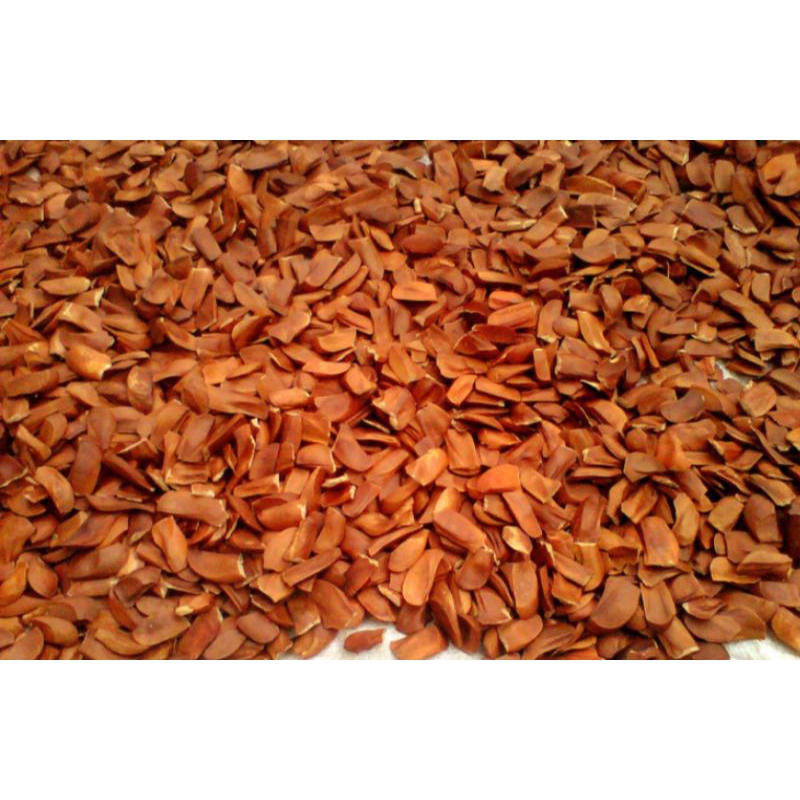

Biji mahoni/Obat Herbal Alami
