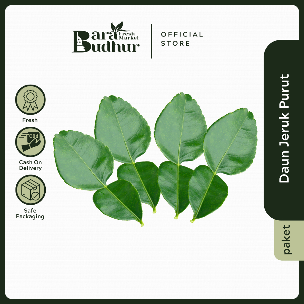 

Daun Jeruk Purut 50 gr Segar