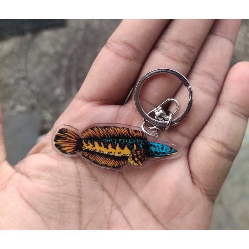Gantungan Kunci Chana Barca Ganci Chana Gantungan Kunci Ikan Predator Chana Auranti Chana Barca High