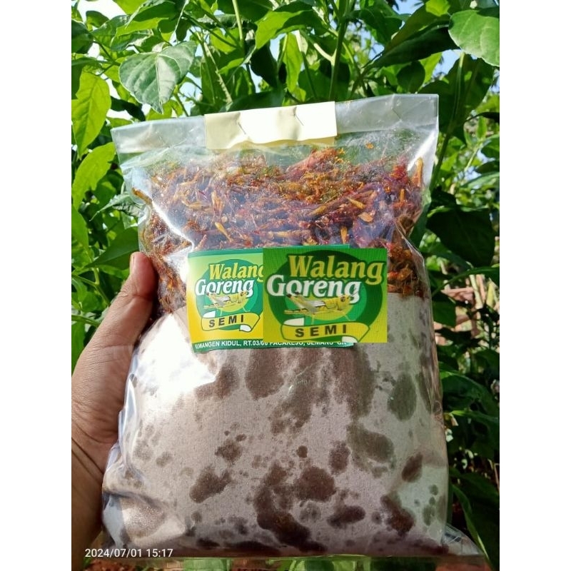 

Walang Goreng/simet/walang padi kecil-kecil kemasan 1/2kg di timbang setelah matang pesan baru goreng no Setok po(2-3 hari) isi lebih banyak