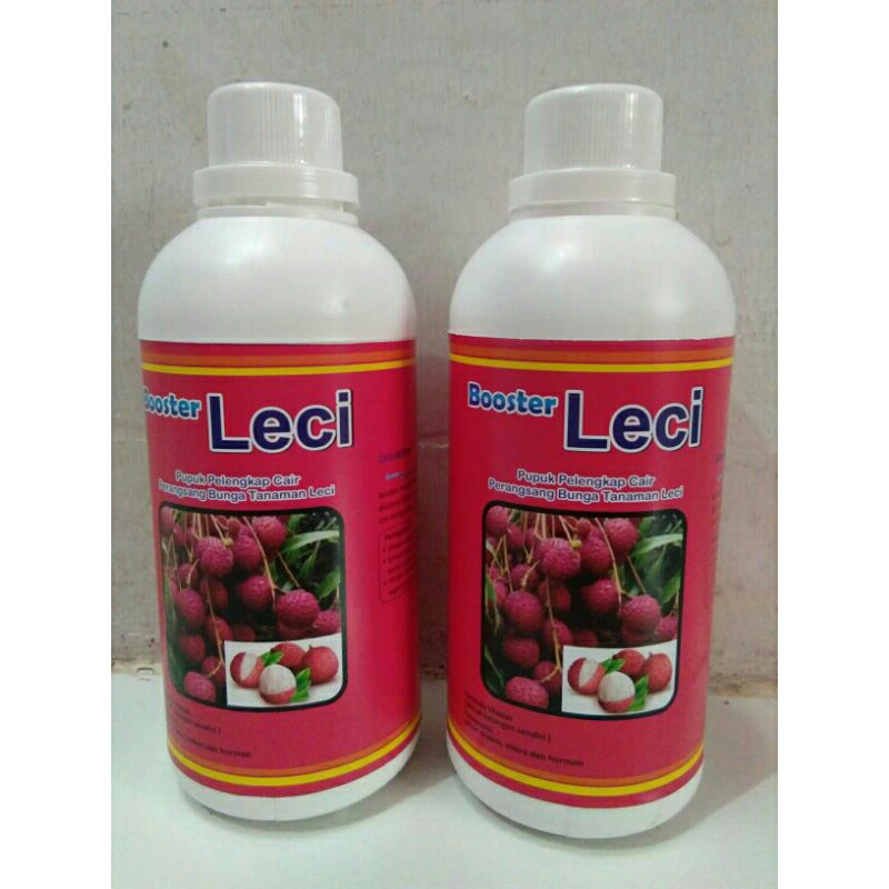 Booster Leci-Booster sekaligus pupuk cair ampuh utk merangsang pembuahan pohon Leci
