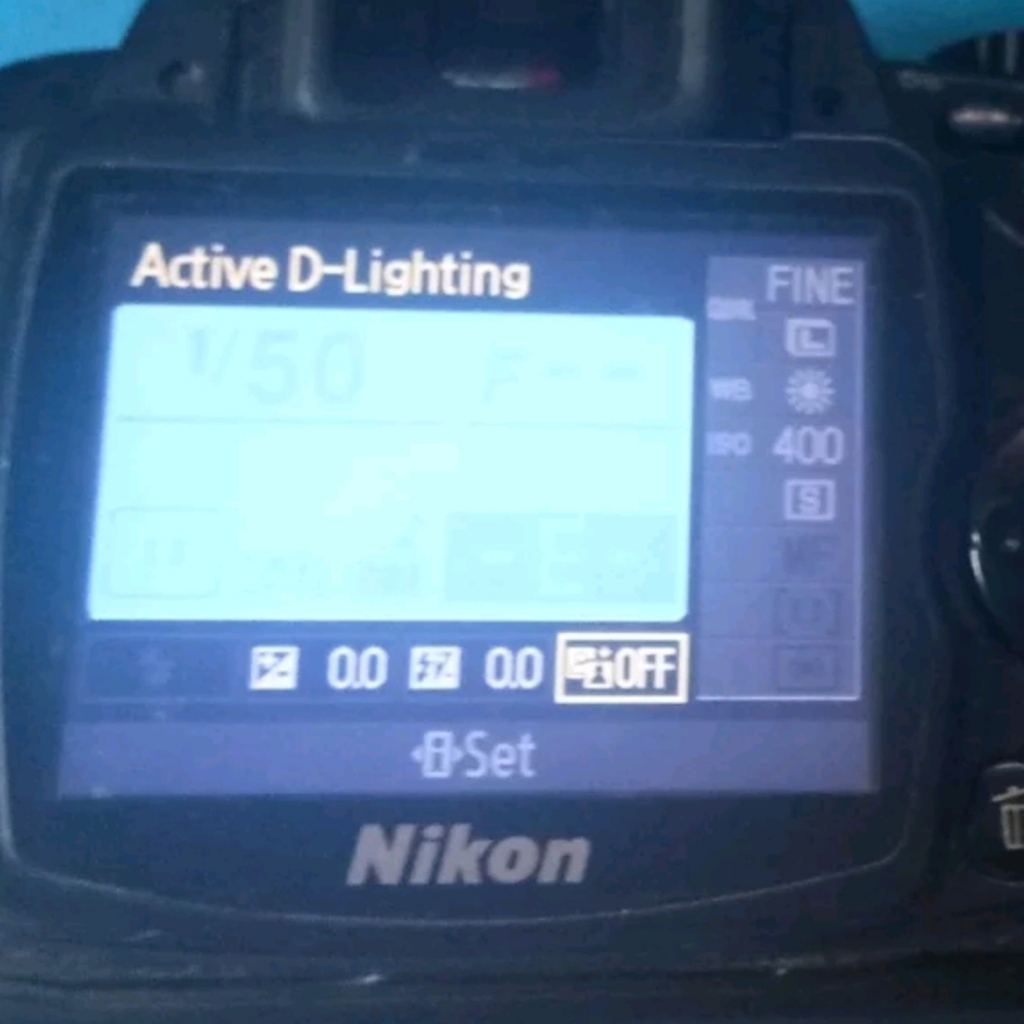 Lcd nikon D60 original