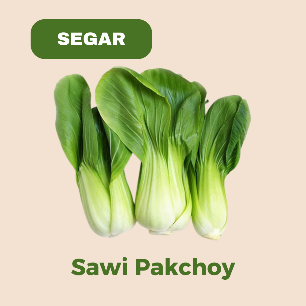 

KIRIM INSTANT Pokchoy / Bokchoy MURAH 250 Gram