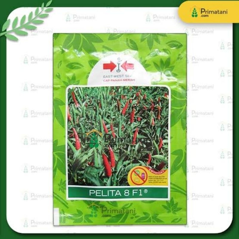 

Cabe Rawit PELITA 8 F1 isi 350 butir panah merah