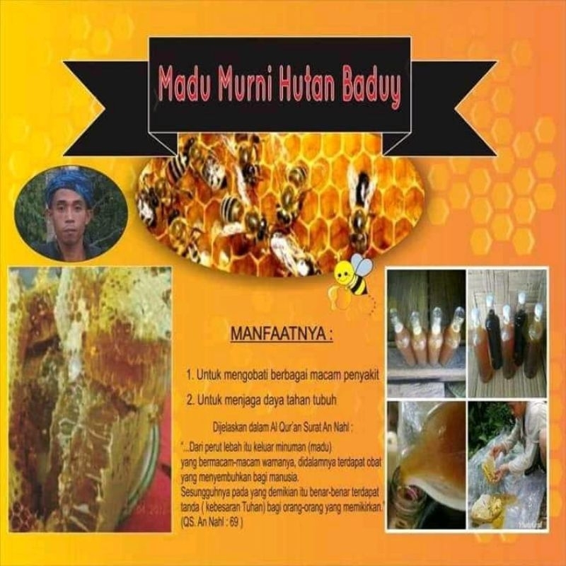 

madu hutan baduy asli