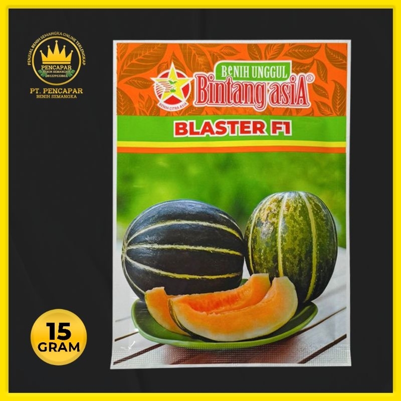 BENIH BLEWAH BLASTER - BINTANG ASIA - ISI 600 BUTIR /BLEWAH