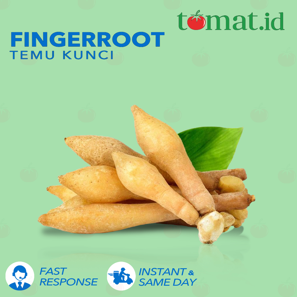 

Temu Kunci / Finger Root