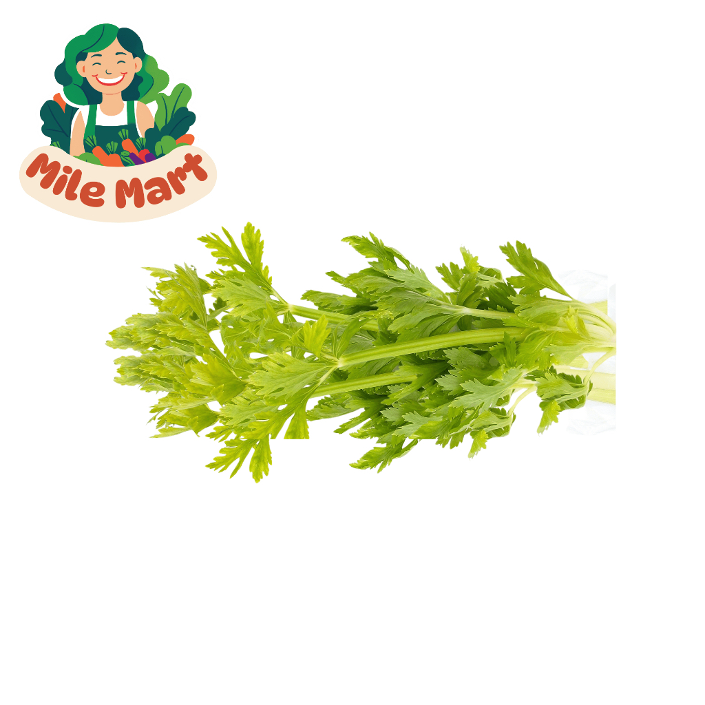 

Selederi / daun selederi / daun sop
