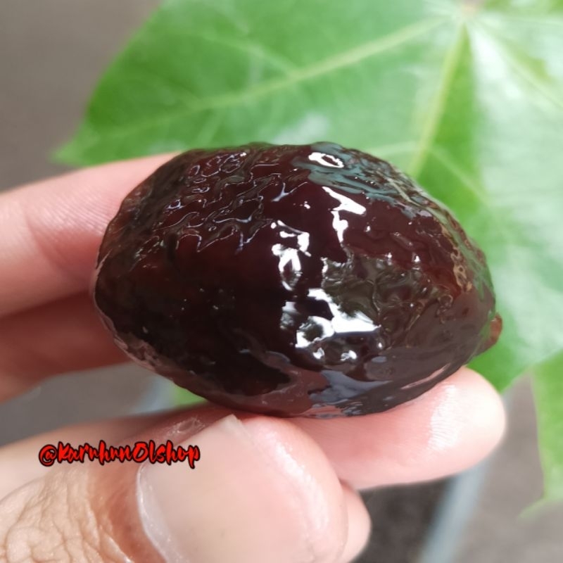 MUNCANG ADU YANTI ORI GARUT