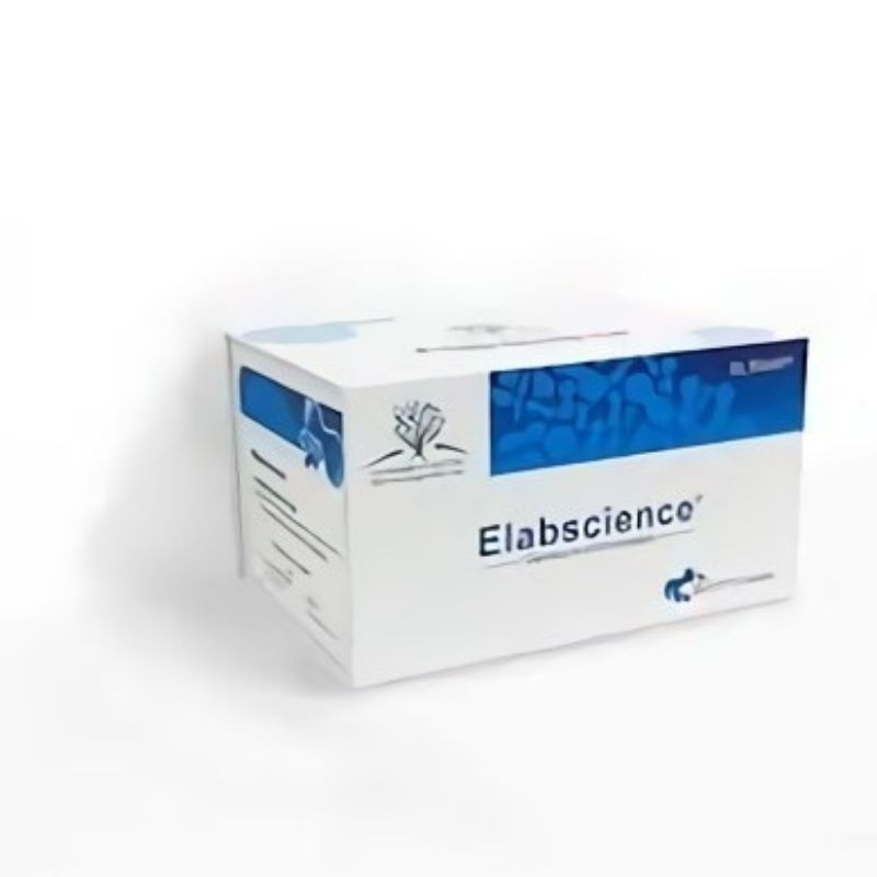Rat TNF-α(Tumor Necrosis Factor Alpha) ELISA Kit (E-EL-R2856)