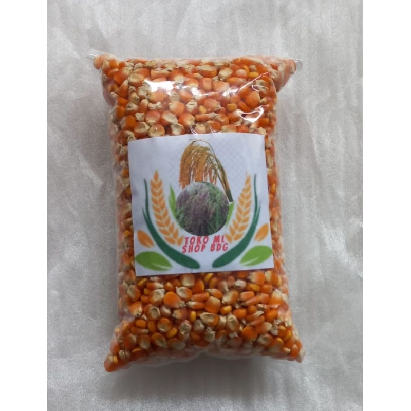 

Jual bibit jagung sumo lokal pilihan 5 kg