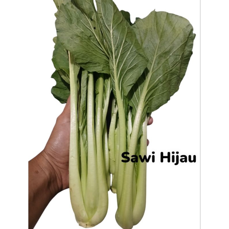 

Sawi Hijau / Daun Sawi Hijau Segar 1kg