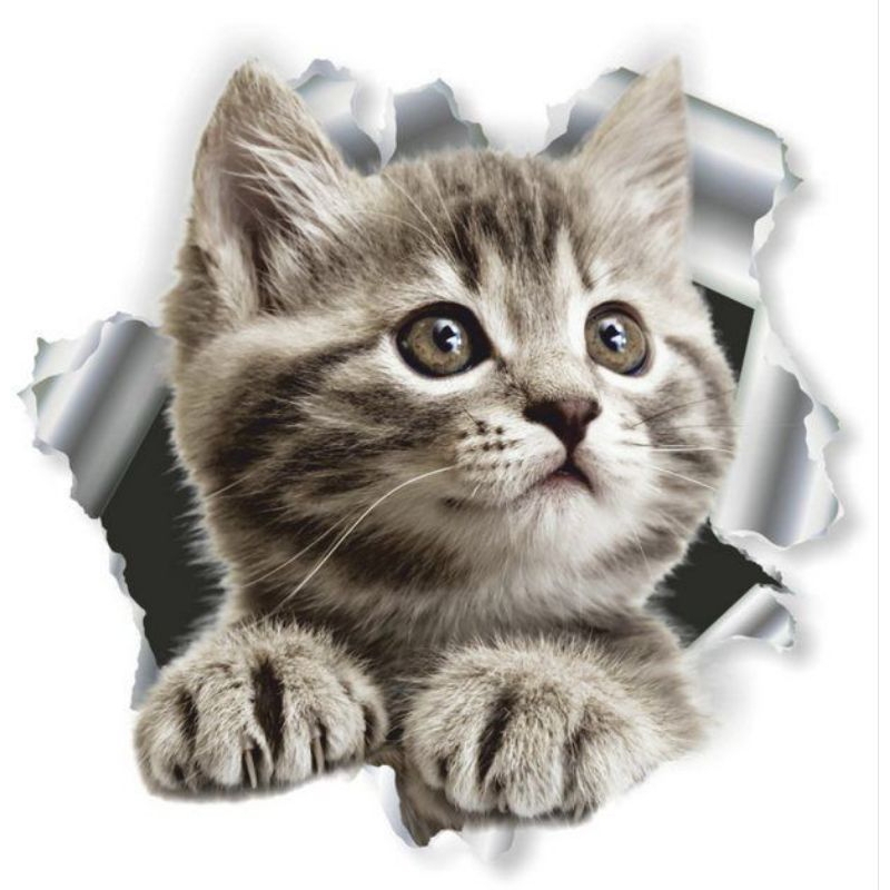 

stiker 3D kucing lucu, bahan vinil anti air, size 15 x 20 cm