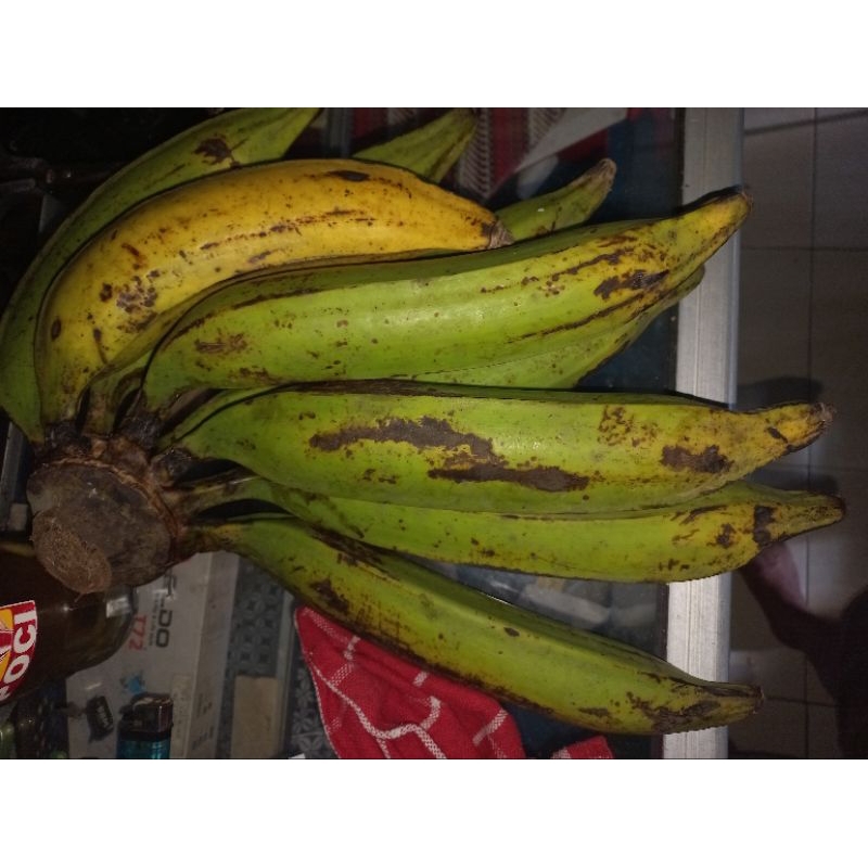 

6 pcs Pisang tanduk muria