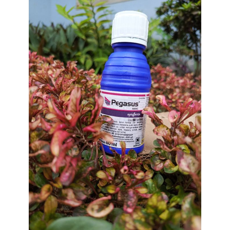 Pegasus 500 SC Insektisida&akarisida