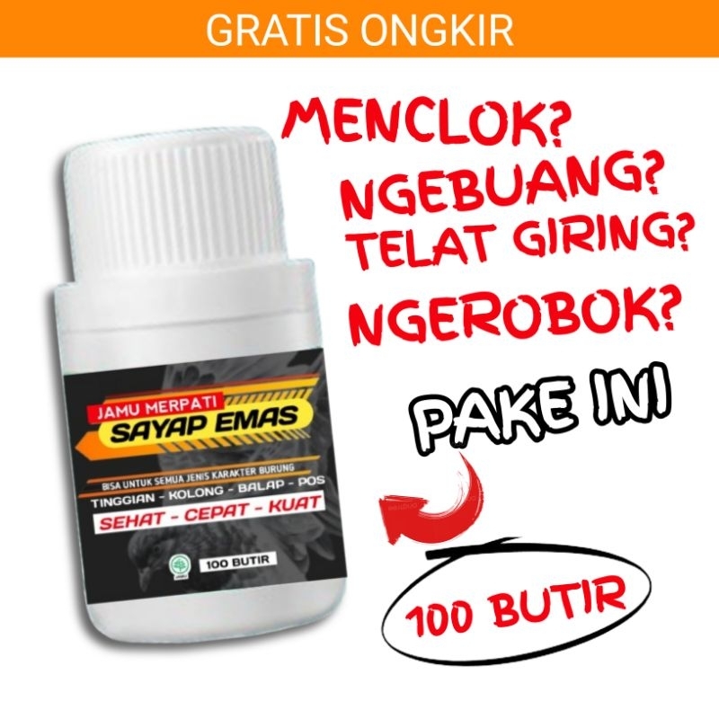 jamu merpati kolong sayap emas jamu merpati tinggian jamu merpati balap