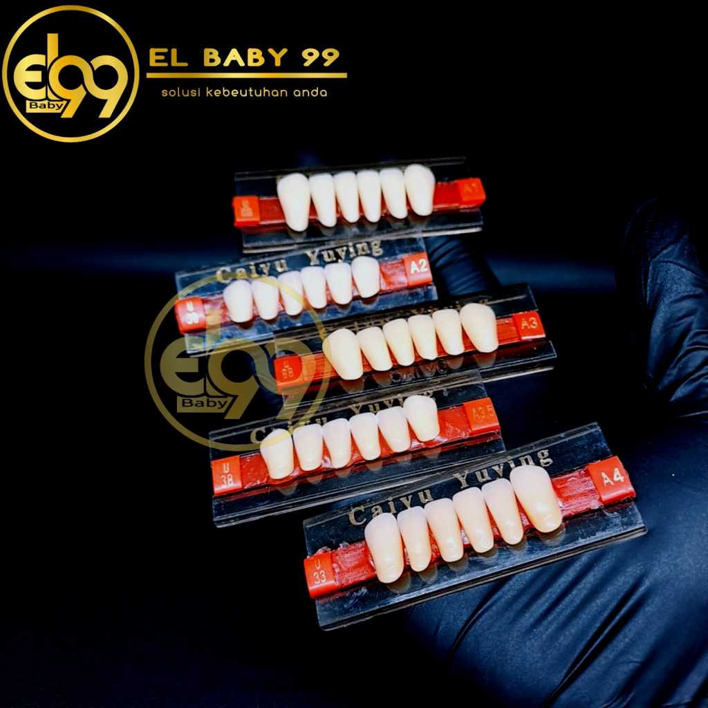 Gigi palsu Caiyu Depan Bawah Caiyu Anterior Bawah
