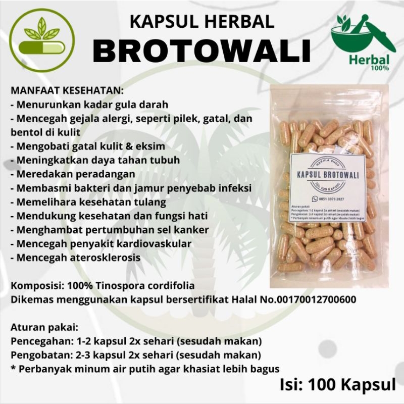 

Kapsul BROTOWALI isi 100 Suplemen Herbal Jamu Asli | Mengobati gatal-gatal, eksim, alergi, menurunkan gula darah, meningkatkan daya tahan tubuh