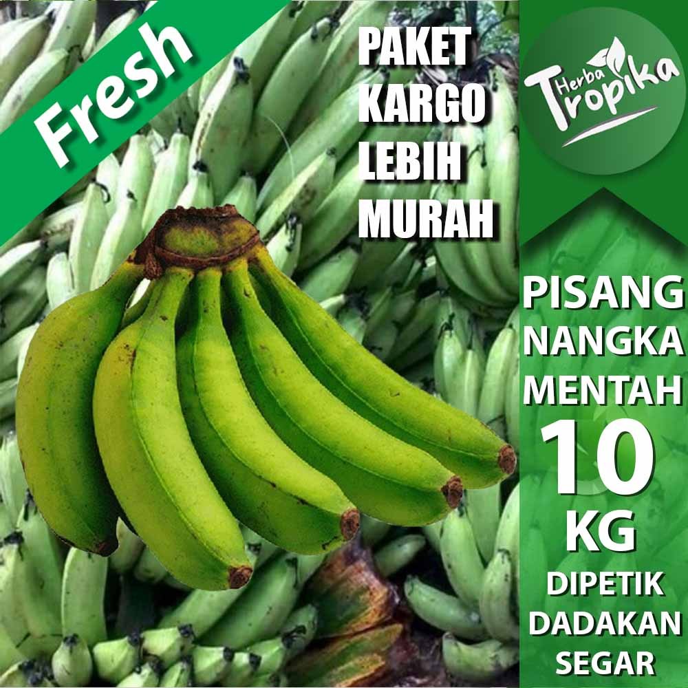 

Paket Kargo Pisang Nangka Mentah 10 kg Fresh toko herba tropika