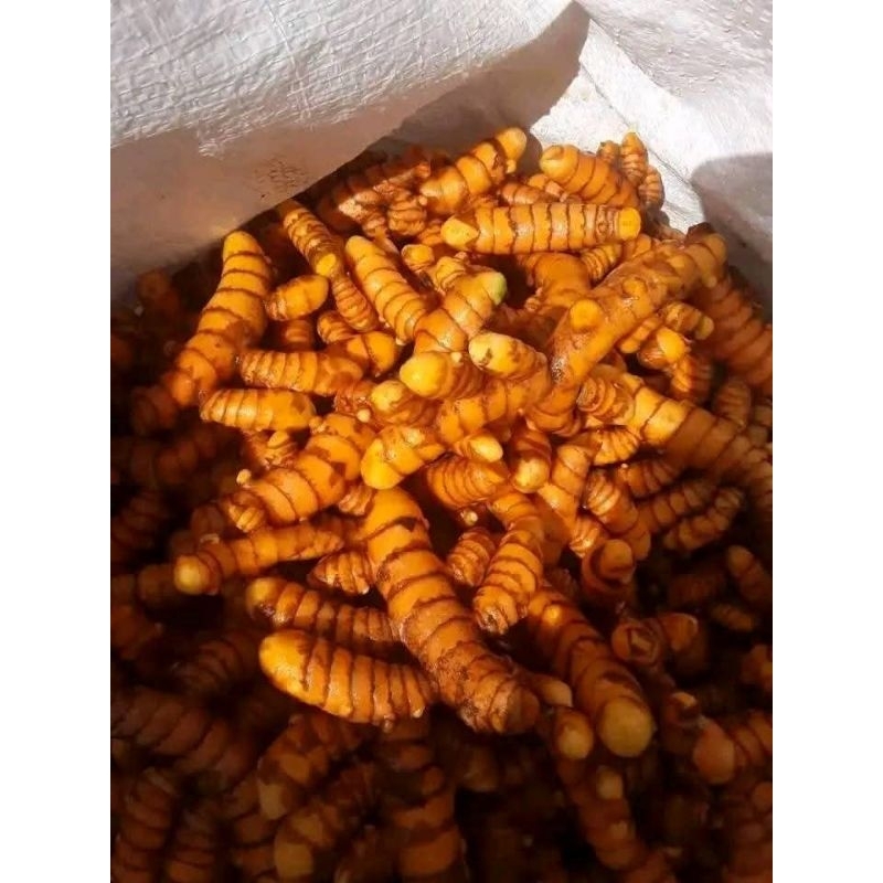 

kunyit/kunir isi 250g/500g/1 kg