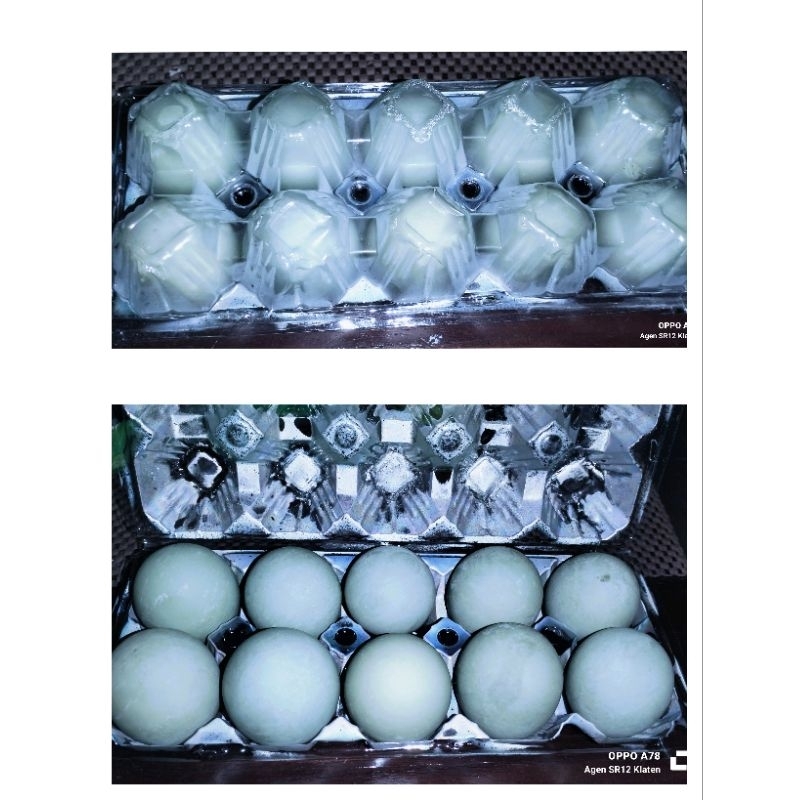 

Telur Asin Legit Home Made